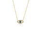 PAVE MINI EYE